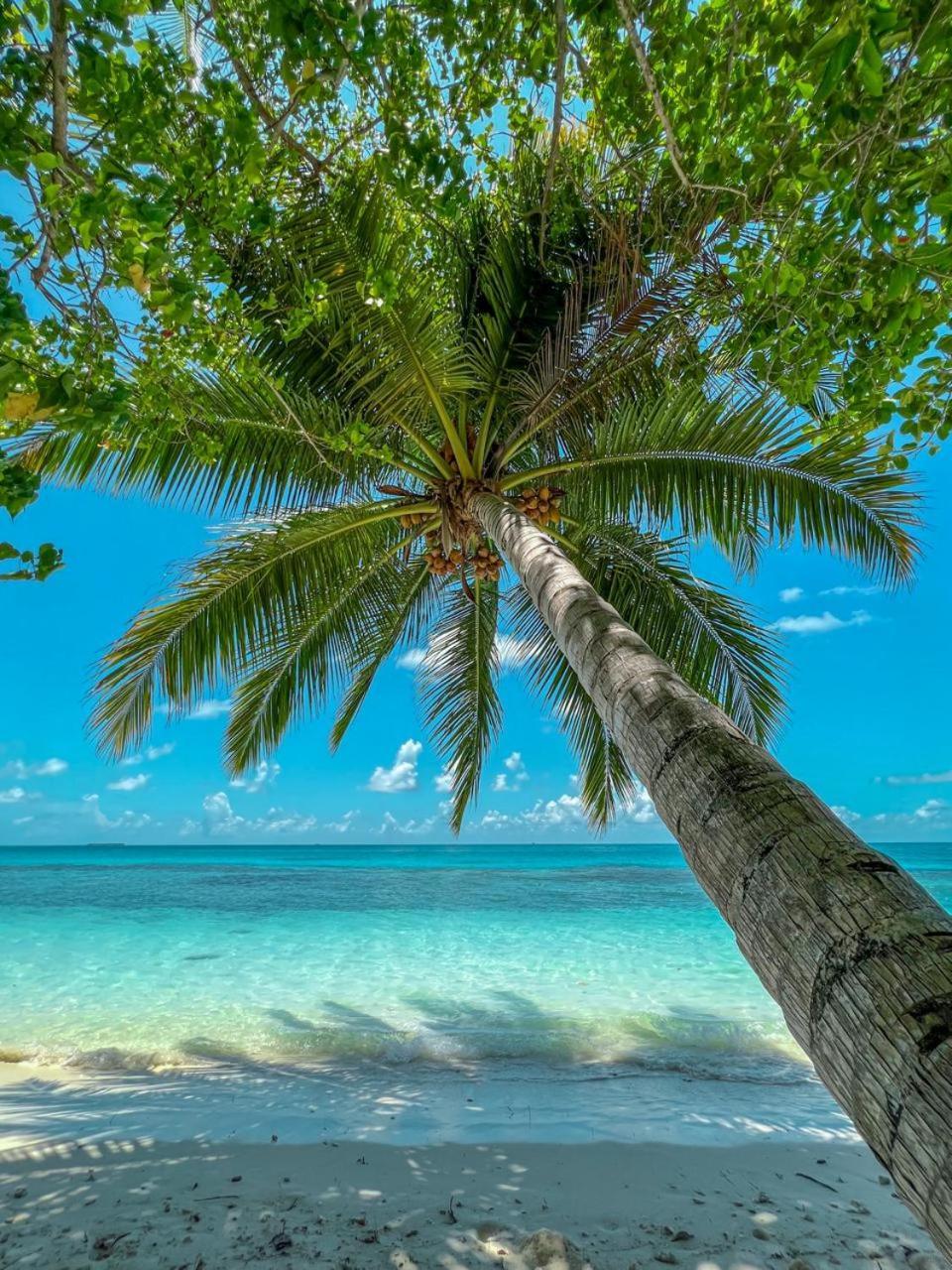 Infinite Lagoon Mandhoo Eksteriør bilde